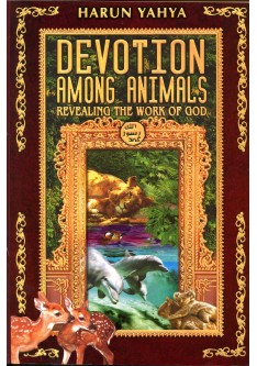 Devotion among Animals Revealing the Work of God